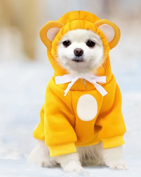 Pawfectly Cozy Hoodie for Dogs & Cats